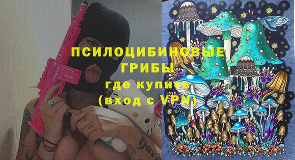 PSILOCYBIN Алексеевка