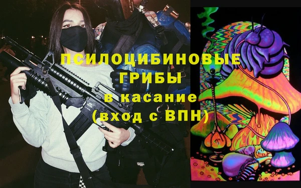 PSILOCYBIN Алексеевка