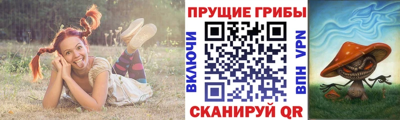 Псилоцибиновые грибы мухоморы  MEGA онион  shop клад  Вихоревка 