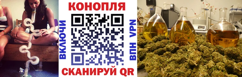 ОМГ ОМГ как войти  Вихоревка  Каннабис сатива 